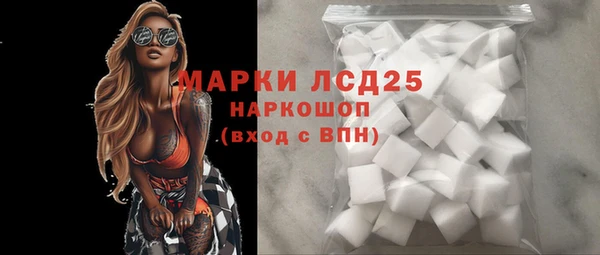 хмурый Снежногорск