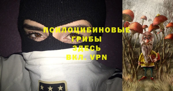 дмт Балахна