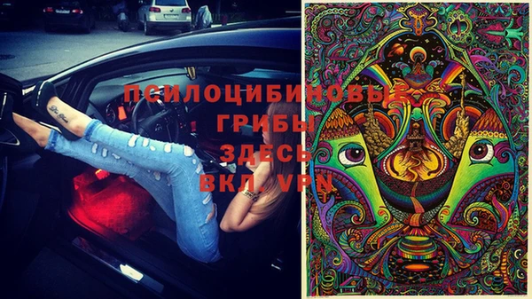 ГАЛЛЮЦИНОГЕННЫЕ ГРИБЫ Балабаново
