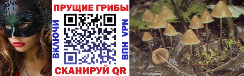 даркнет официальный сайт  Зеленокумск  Псилоцибиновые грибы Psilocybe  купить  